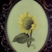 t-sunflower