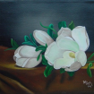 magnoliablack
